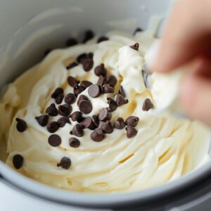 churn in ice cream maker