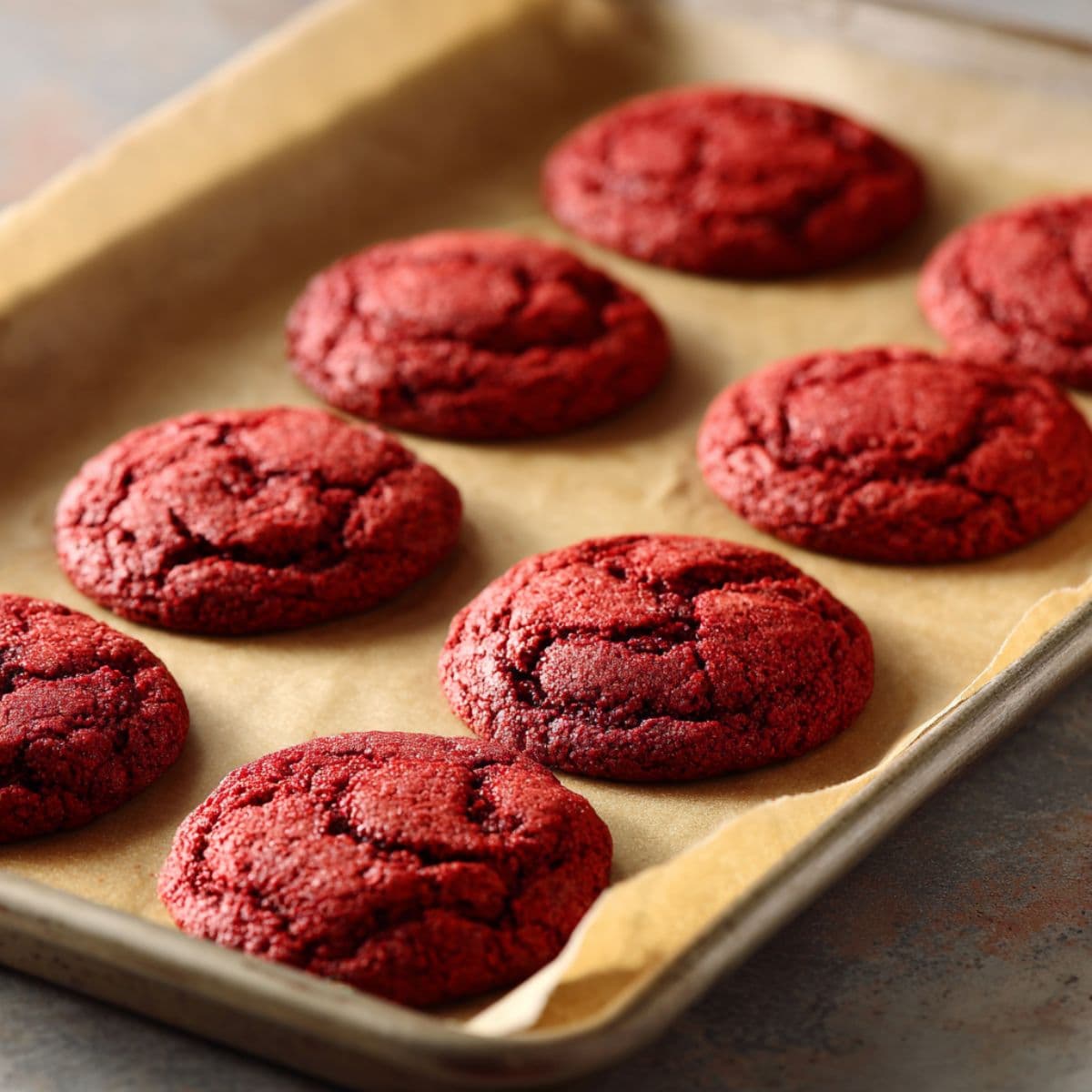 red velvet cookies cooling on parchment-lined baking sheet after baking