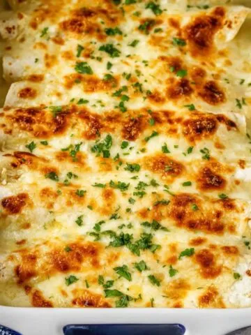 white chicken enchiladas