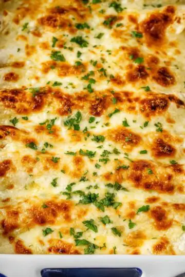 white chicken enchiladas