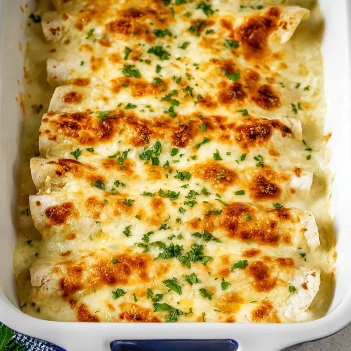 white chicken enchiladas
