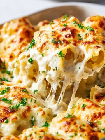 chicken alfredo lasagna